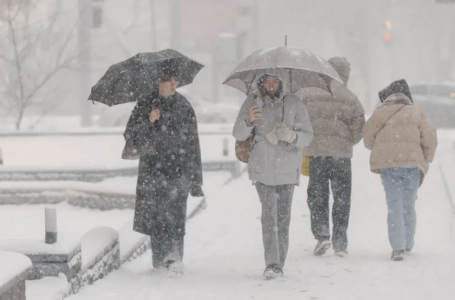 Қар мен үсік: Алматыда күн күрт суытады 