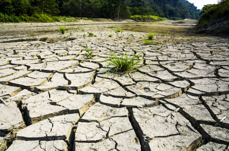 Қауіпті болжам айтылды: алда оңтүстік өңірлерде су тапшы болуы мүмкін
