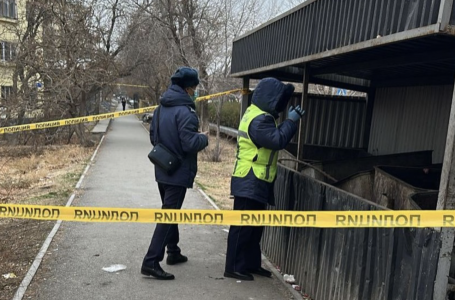 Кентауда қоқыс жәшігінен нәресте табылды