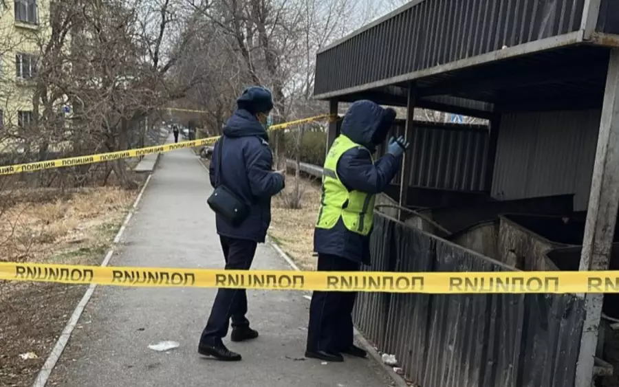 Кентауда қоқыс жәшігінен нәресте табылды