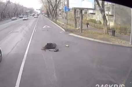 Жүргізуші телефонға алаңдап отырған: Алматыда автобус қаққан қыздың жағдайы ауыр