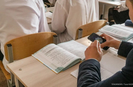 Химия, физика, биология бір пән ретінде оқытыла ма? Министр нүктесін қойды