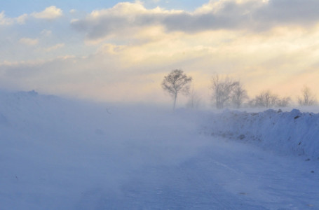 БҚО-да үсік шалған төрт адам қаза тапты