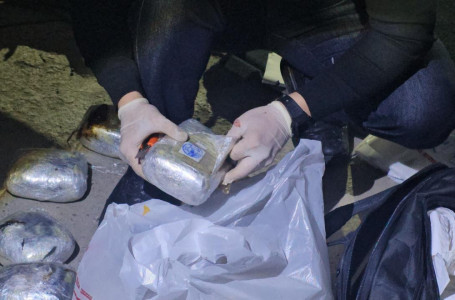 Шекарадан есірткі өткізбек болған шетелдік ұсталды