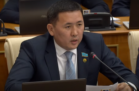 Депутат Анас Баққожаев Үкімет жұмысына “3“ қойды