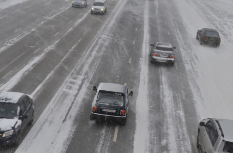 Көлік жүргізушілер енді барлық құжатты алып жүруі керек пе?