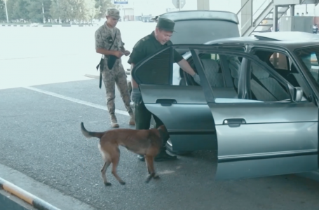 Қазақстан шекарасы арқылы 1,5 тоннадан аса есірткі тасымалы тоқтатылған