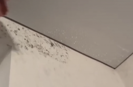 Сыз тартып, көгеріп жатыр: Нұра тұрғындары әкімдік сатып алған жаңа үйлерде тұрудан бас тартып отыр