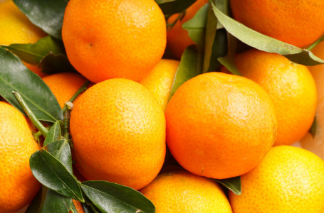 Тәулігіне қанша мандарин жеуге болады? Дәрігер кеңесі