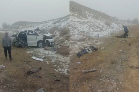 Алматы облысында жантүршігерлік жол апаты болып, үндістандық студенттер қаза тапты