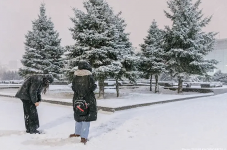 Жаңбыр жауып, тұман түседі: бүгін ауа райы қандай болады?