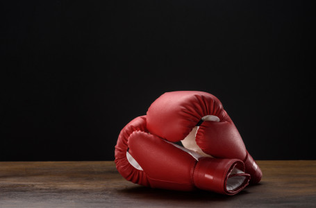 Бокстан Қазақстан құрамасының бас бапкері тағайындалды