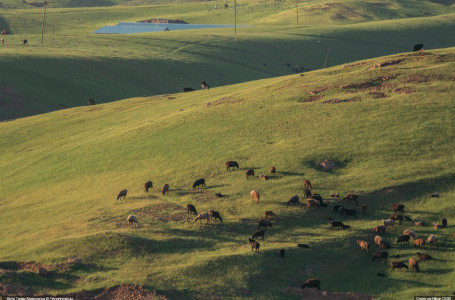 Олигополиялардың Алатау етегіндегі, Бурабай ұлттық паркіндегі жері мемлекетке қайтарылды