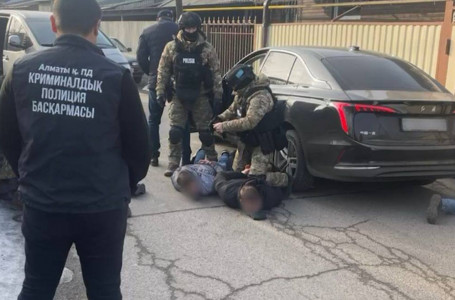 Алматыда Жаңа жыл түні үш адам үйге заңсыз кіріп, қылмыс жасаған (видео)