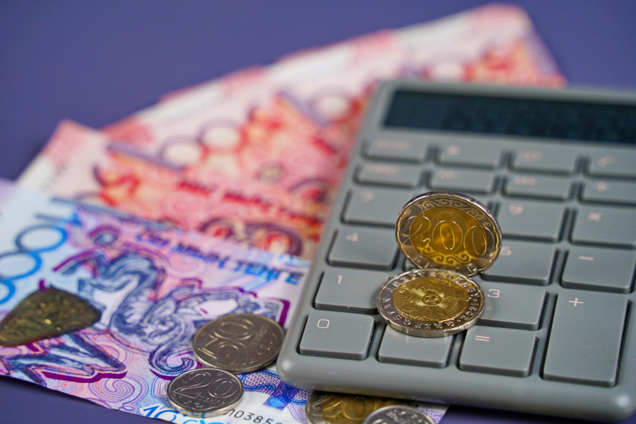 Үкімет 240 млрд теңге бөлді: бұл қаржы қайда жұмсалады?