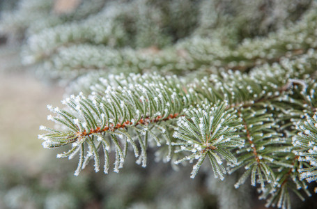 Аяз күшейеді: 18 қаңтарда ауа райы қандай болады?