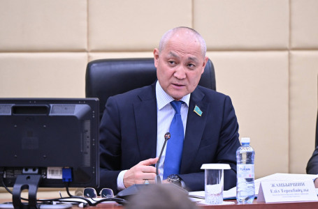 “Көршілер көмір бойынша икемді генерацияны игеріп үлгерді, біз ескісін жамап-жасқауға мәжбүрміз“ - депутат