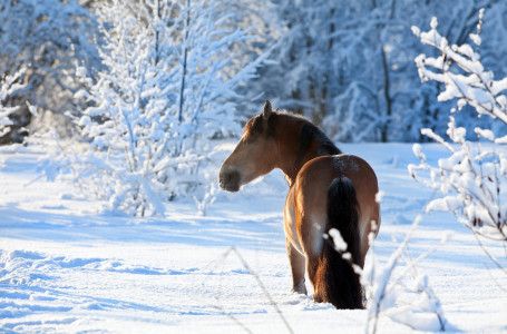 35 градусқа дейін аяз: демалыс күндері ауа райы қандай болады?