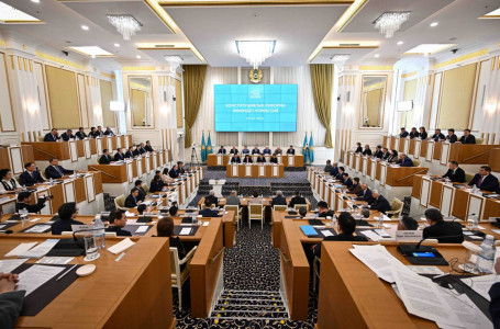 Қазақстанда вице-президенттің қызметі қандай болады?