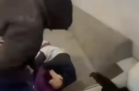 Үйге басып кіріп, иелеріне күш қолданып, қорқытқан: Алматыда бір топ адам ұсталды