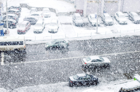 Жапонияда жауған қалың қар 23 адамның өмірін қиды