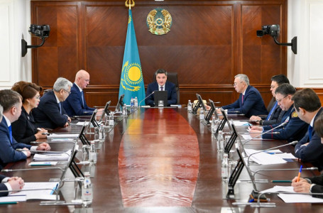 Жаңа Конституция: ІІМ желідегі жазбаларға қатысты қатаң шара қабылдайды