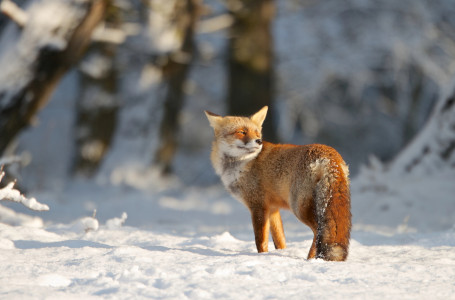 Ақпанның басында ауа райы қандай болады?