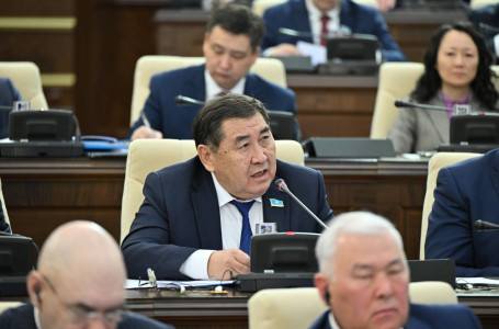 “Тілді текетірес пен ерегестің қаруына айналдыру бізге әбүйір әпермейді“ -  депутат Бапи