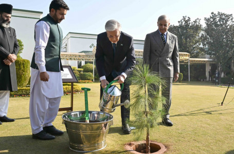 Президент Пәкістан премьер-министрінің резиденциясы аумағында ағаш отырғызды