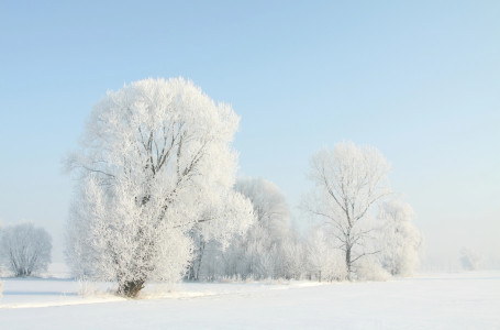 Қатты қар жауады: демалыс күндері ауа райы қандай болады?