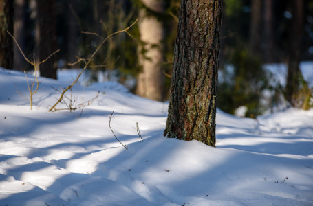 Жаңбыр жауып, көктайғақ болады: бүгінгі ауа райы болжамы қандай?