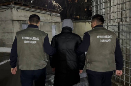 Қыр соңынан қалмаған, күш қолданған: Шымкентте сталкинг дерегі бойынша екі күдікті ұсталды