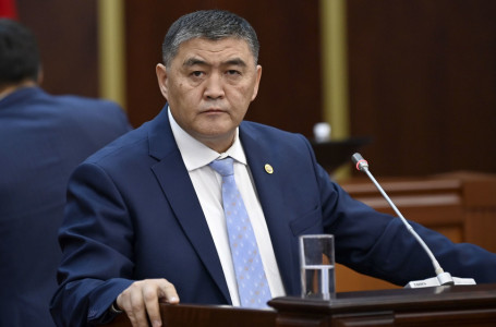 Қамшыбек Тәшиев Еуропа асқан - БАҚ