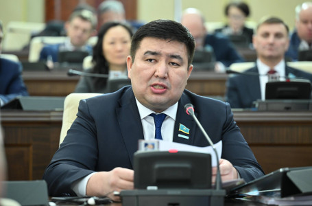 Елнұр Бейсенбаевтың депутаттық өкілеттігі тоқтатылды