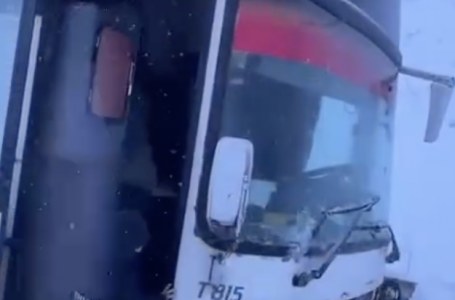 Жамбыл облысында автобус жеңіл көлікпен соқтығысты: қаза тапқан, зардап шеккен адамдар бар