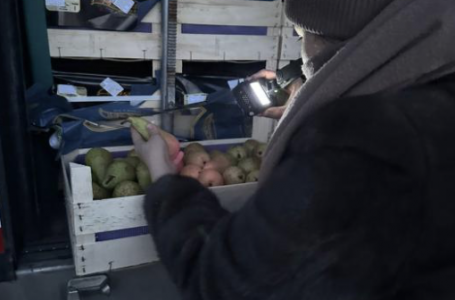 Бельгиядан Қазақстанға әкелінген 19 тоннадан аса алмұрт кері қайтарылды