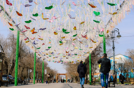 Алматыға көктем ерте келді: синоптиктер бұл рекорд көрсеткіш екенін айтты