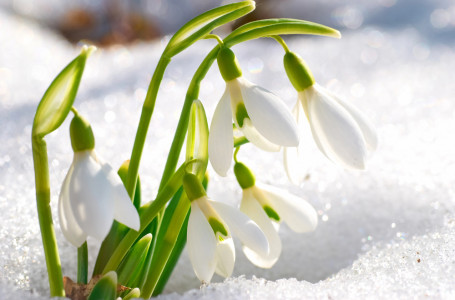 Көктемнің алғашқы күні ауа райы қандай болады?