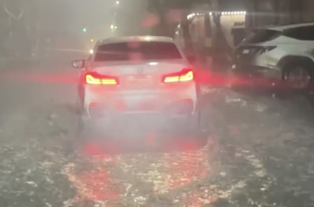 Семей мен облыстың кейбір аудандарын еріген қар және жаңбыр суы басты