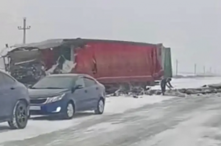 СҚО-да екі жүк көлігі соқтығысып, жүргізуші қаза тапты