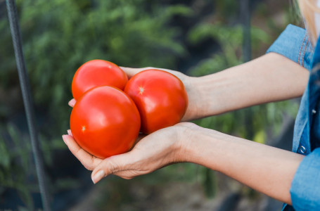 Қызанақ кімдерге зиян? Дәрігер ескерту жасады