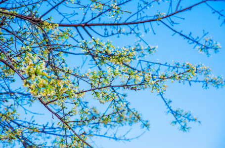 Демалыс күндері ауа райы қандай болады?