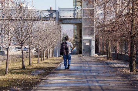 Алда күн жылына ма?