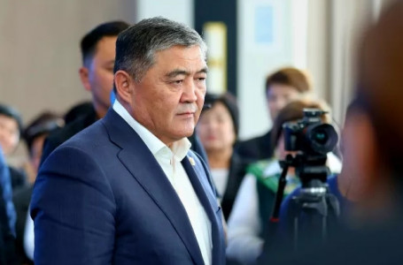 Қамшыбек Тәшиев Ішкі істер министрлігіне жауап алуға жеткізілді - БАҚ