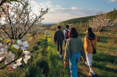 Мереке күндері ауа райы қандай болады?