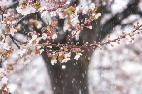 23 градус жылы: бүгін ауа райы қандай болады?