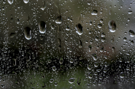 Жылы әрі жаңбырлы: 22 наурызда ауа райы қандай болады?