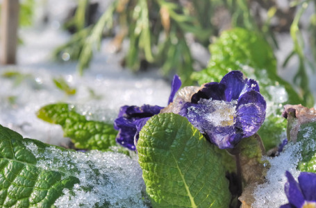 Жаңбыр, үсік, найзағай: бүгін ауа райы қандай болады?