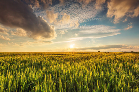 Қазақстанда 30 градусқа дейін күн жылынады