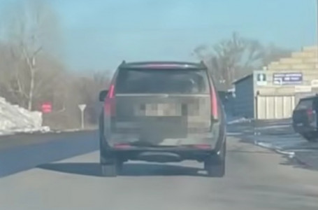 Павлодарда 34 млн теңгеден аса қарызы бар көлік тоқтатылды